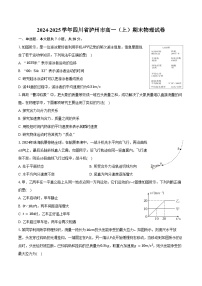 2024-2025学年四川省泸州市高一（上）期末物理试卷（含答案）