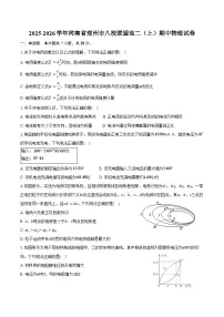 2025-2026学年河南省郑州市八校联盟高二（上）期中物理试卷（含答案）