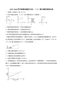 2025-2026学年湖南省衡阳市高一（上）期末模拟物理试卷（含答案）