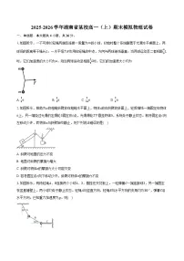 2025-2026学年湖南省某校高一（上）期末模拟物理试卷（含答案）