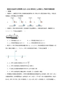 福建省龙岩市一级校盟2025-2026学年高二上学期期中联考试题 物理试卷