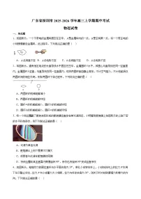 广东省深圳市2026届高三上学期期中联考 物理试卷(含答案）