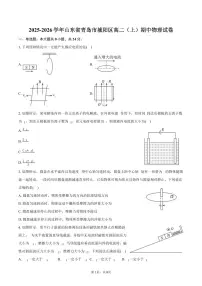2025-2026学年山东省青岛市城阳区高二（上）期中物理试卷（含答案）