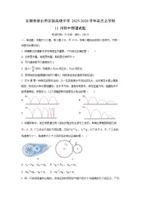安徽省淮北市实验高级中学2025-2026学年高三上学期11月期中物理试卷（学生版）