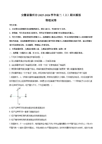 安徽省滁州市2025-2026学年高二（上）期末模拟物理试卷2