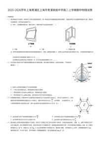 2025~2026学年上海青浦区上海市青浦高级中学高二上学期期中物理试卷（有答案解析）