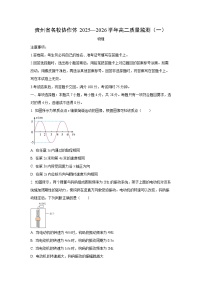 贵州省2025-2026学年高二上学期11月期中物理试卷（学生版）