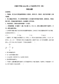 重庆市巴蜀中学2026届高三上学期11月期中物理试卷（Word版附解析）