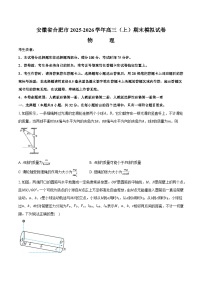 安徽省合肥市2025-2026学年高三（上）期末模拟物理试卷