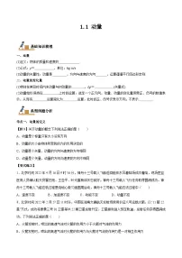 物理人教版 (2019)动量课后测评