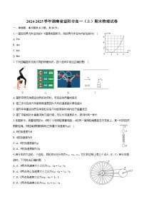 2024-2025学年湖南省益阳市高一（上）期末物理试卷（含解析）