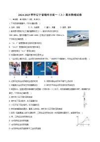 2024-2025学年辽宁省锦州市高一（上）期末物理试卷（含解析）