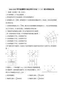 2024-2025学年新疆喀什地区喀什市高二（上）期末物理试卷（含答案）