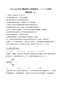 2025-2026学年安徽省皖江名校联盟高一（上）联考物理试卷（A）（12月）（含答案）