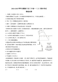 2024-2025学年安徽省六安二中高一（上）期末物理试卷（含答案）