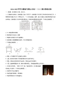 2024-2025学年安徽省马鞍山市高一（上）期末物理试卷（含答案）