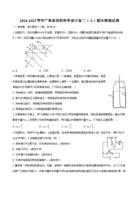 2024-2025学年广东省深圳科学高中高二（上）期末物理试卷（含答案）