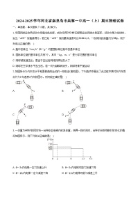 2024-2025学年河北省秦皇岛市昌黎一中高一（上）期末物理试卷（含答案）
