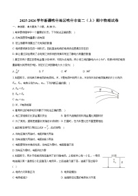 2025-2026学年新疆喀什地区喀什市高二（上）期中物理试卷（含解析）