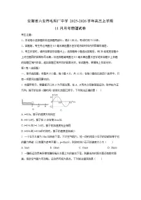 2025-2026学年安徽省六安市毛坦厂中学高三上学期11月月考物理试卷（学生版）