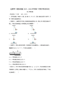 2025-2026学年福建省龙岩市九校联考高二上学期11月期中物理试卷（学生版）