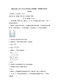 2025-2026学年福建省厦泉四地五校高二上学期11月期中联考物理试卷（学生版）