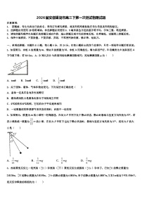 2026届安徽巢湖市高三下第一次测试物理试题含解析