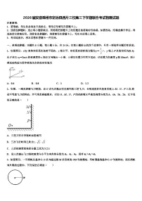 2026届安徽滁州市定远县西片三校高三下学期联合考试物理试题含解析