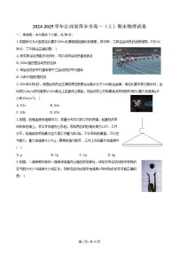 江西省萍乡市2024-2025学年高一（上）期末物理试卷（含解析）