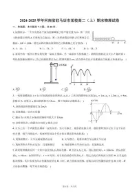 河南省驻马店市某校2024-2025学年高二（上）期末物理试卷（含答案）
