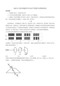 2025年上海市普通高中学业水平等级性考试物理试卷（含答案）