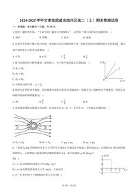 2024-2025学年甘肃省武威市凉州区高二（上）期末物理试卷（含答案）