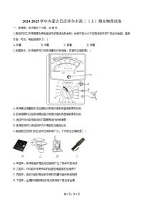 内蒙古巴彦淖尔市2024-2025学年高二（上）期末物理试卷（含解析）
