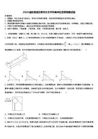 2026届安徽省合肥市长丰中学高考仿真卷物理试题含解析