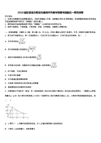 2026届安徽省合肥双凤高级中学高考物理考前最后一卷预测卷含解析