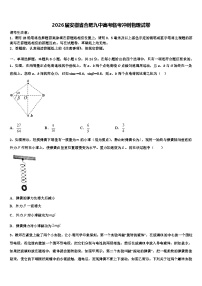 2026届安徽省合肥九中高考临考冲刺物理试卷含解析