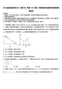 2026届安徽省合肥六中、合肥八中、阜阳一中、淮北一中四校高考全国统考预测密卷物理试卷含解析