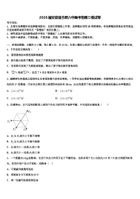 2026届安徽省合肥六中高考物理三模试卷含解析