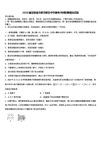 2026届安徽省合肥市肥东中学高考冲刺物理模拟试题含解析