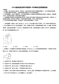 2026届安徽省合肥市庐阳区第一中学高考仿真卷物理试题含解析