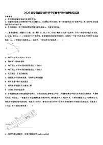 2026届安徽省定远炉桥中学高考冲刺物理模拟试题含解析