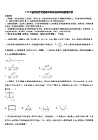 2026届安徽省肥西中学高考临考冲刺物理试卷含解析
