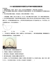 2026届安徽省铜陵市枞阳县浮山中学高考考前模拟物理试题含解析