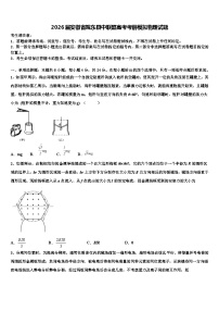 2026届安徽省皖东县中联盟高考考前模拟物理试题含解析
