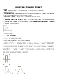 2026届安徽省合肥市高三最后一卷物理试卷含解析