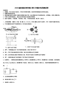 2026届安徽省合肥市高三第三次模拟考试物理试卷含解析