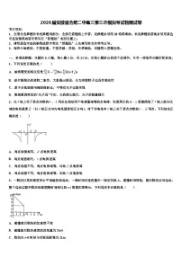 2026届安徽省合肥二中高三第三次模拟考试物理试卷含解析