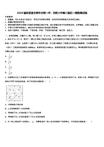 2026届安徽省合肥市合肥一中、合肥六中高三最后一模物理试题含解析