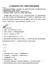 2026届安徽省合肥六中高三下学期第五次调研考试物理试题含解析