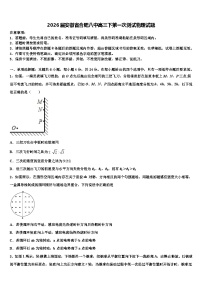 2026届安徽省合肥八中高三下第一次测试物理试题含解析
